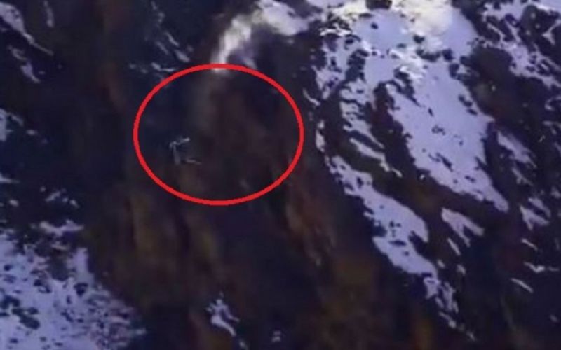 Εκπληκτική καταδίωξη στα Ιμαλάια: Το «φάντασμα του βουνού» πέφτει στο κενό με το θήραμά του (vid)