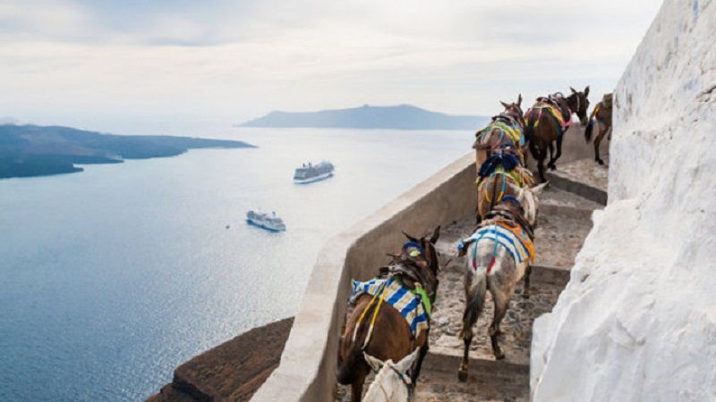 Σαντορίνη: Νέες καταγγελίες για τα γαϊδουράκια