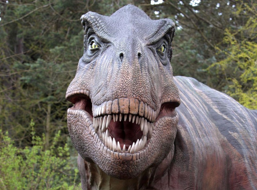 Γιατί οι δεινόσαυροι είχαν τόσο διαφορετικά μεγέθη και χρώματα