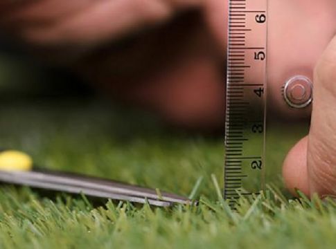 Οι ψυχαναγκασμοί των ζωδίων