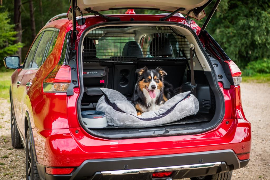 Nissan X-Trail Best Dog-Friendly Car of the Year