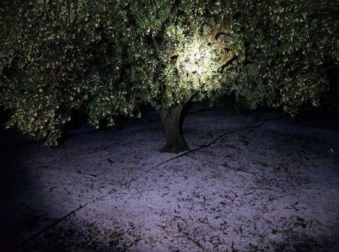 Απίστευτες εικόνες από το χαλάζι σε Κρήτη και Ρόδο