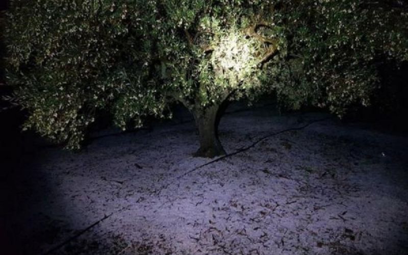 Απίστευτες εικόνες από το χαλάζι σε Κρήτη και Ρόδο