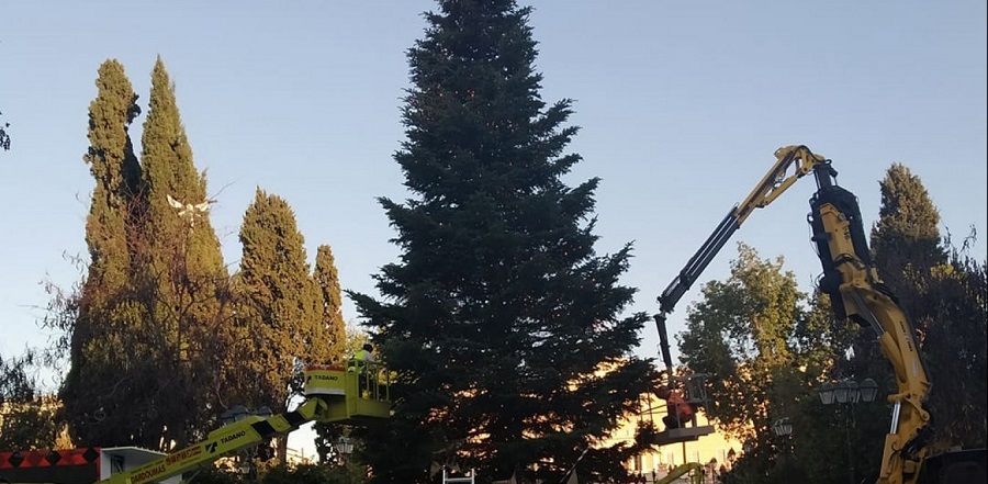 Στολίζεται το χριστουγεννιάτικο δέντρο στο Σύνταγμα