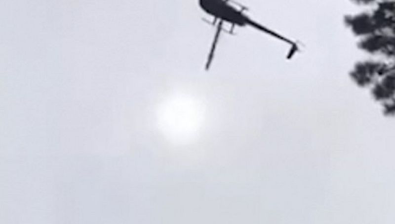 Έριξαν από ελικόπτερο γουρούνι σε πισίνα επιχειρηματία! (vid)