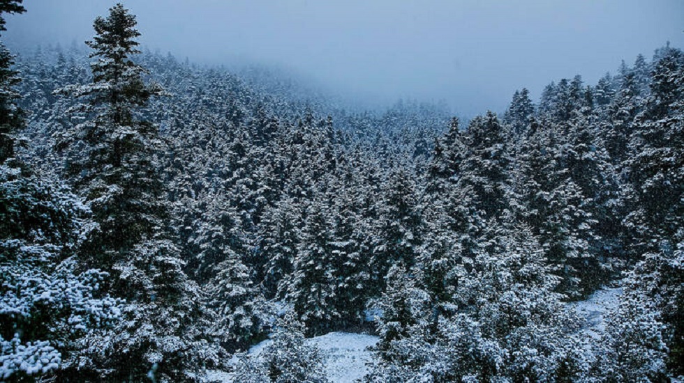 Καιρός : Δείτε πού χιονίζει τώρα – Λευκά τοπία από όλη την Ελλάδα