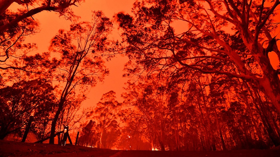 Πύρινος όλεθρος στην Αυστραλία: Έχουν καεί 500 εκατομμύρια ζώα