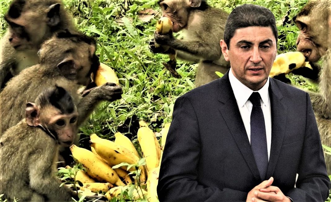 Πολύ βιαστική τοποθέτηση Αυγενάκη για το πόρισμα της ΕΕΑ | to10.gr Πολύ βιαστική τοποθέτηση Αυγενάκη για το πόρισμα της ΕΕΑ | to10.gr