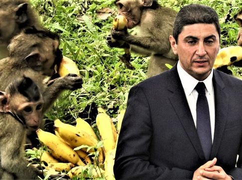 Πολύ βιαστική τοποθέτηση Αυγενάκη για το πόρισμα της ΕΕΑ