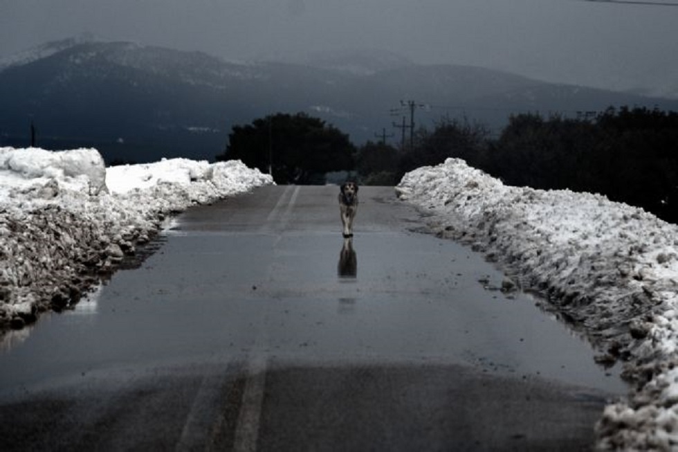 Ελάχιστα τα χιόνια στην Ελλάδα – Η μικρότερη χιονοκάλυψη της 15ετίας