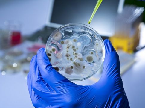 Παγκόσμια ανησυχία για μυστηριώδη ιό που προσβάλει τον άνθρωπο