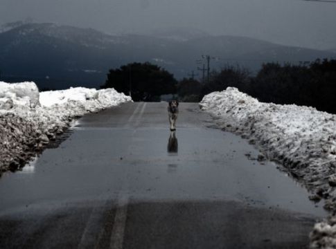 Καιρός: Έρχεται πολικό ψύχος αυτήν την εβδομάδα