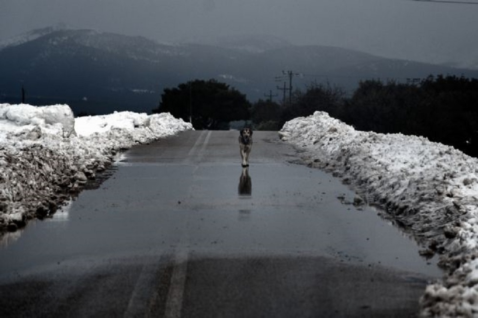 Καιρός: Έρχεται πολικό ψύχος αυτήν την εβδομάδα