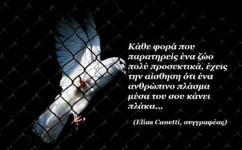 Ινδιάνικα τοτέμ: Ανακάλυψε ποιο είναι το ζώο της δύναμής σου!