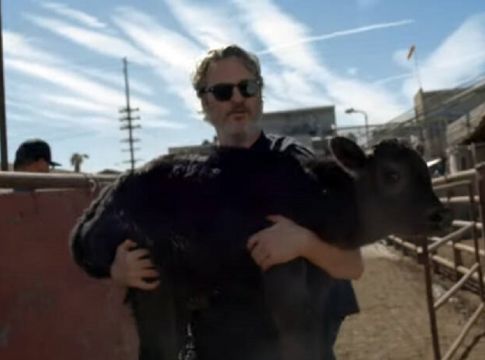 Joaquin Phoenix: Μετά τα Όσκαρ, σώζει αγελάδες από σφαγείο