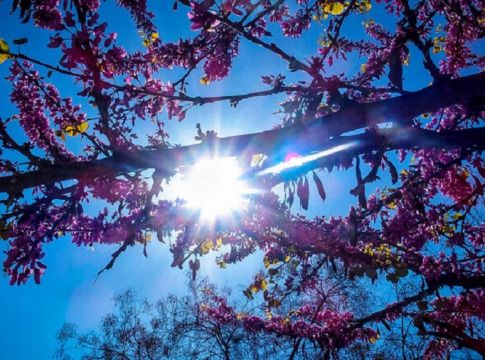 Ο καιρός τρελαίνεται: Έρχεται θερμή εισβολή και αμέσως μετά μεγάλη πτώση της θερμοκρασίας