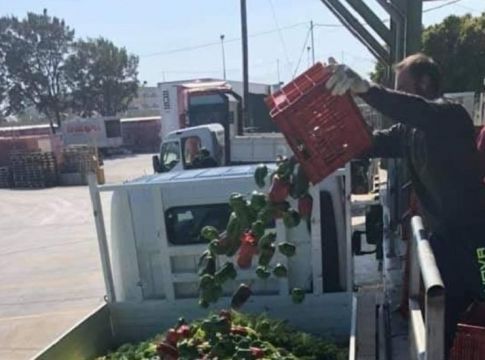 Κορωνοϊός – Κρήτη: Τόνοι κηπευτικών πάνε από την παραγωγή… στη χωματερή