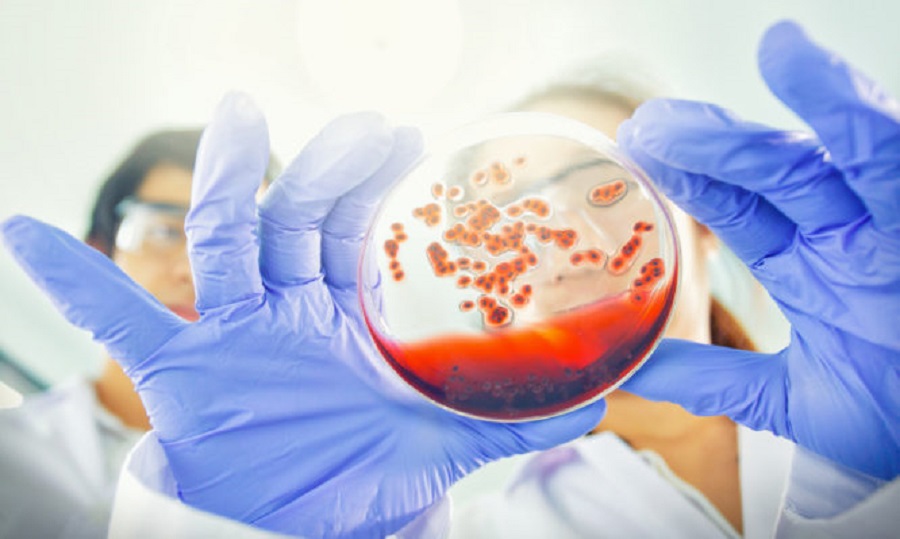 Κορονοϊός: Γιατί μας αρρωσταίνουν οι ιοί και τι σχέση έχει το… σαπούνι