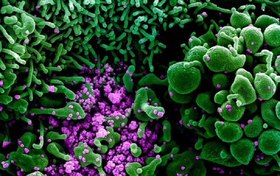 Κορωνοϊός : Ο εχθρός δεν είναι πλέον αόρατος