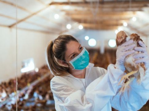 Κορωνοϊός: Γιατί κολλάμε ολοένα και περισσότερες ασθένειες από τα ζώα;