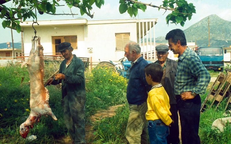 Σε σοβαρό κίνδυνο η κτηνοτροφική παραγωγή της χώρας