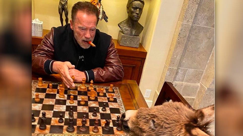 Κορωνοϊός: Ο Σβαρτσενέγκερ στην απομόνωση παίζει σκάκι… με το γαϊδουράκι του!