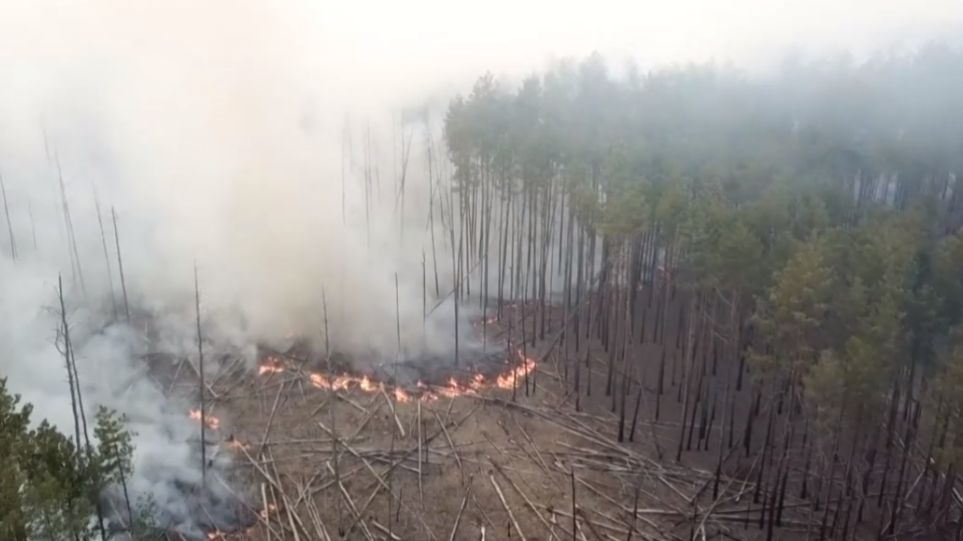 Πυρκαγιές στο Τσέρνομπιλ: Το Twitter αντιδρά – «Πότε θα πέσουν οι ακρίδες;»