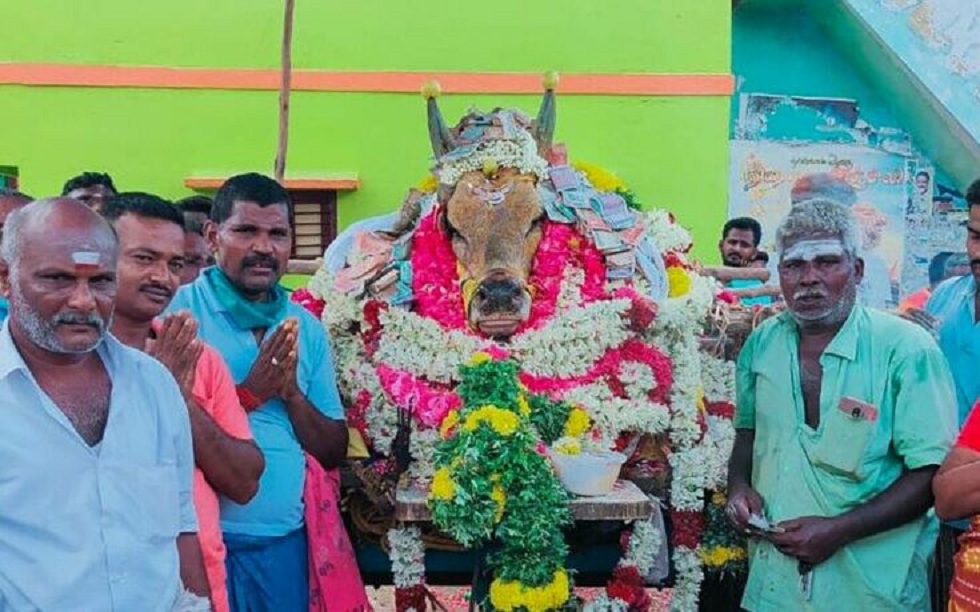 Ινδία: «Έσπασαν» την καραντίνα για να πάνε στην κηδεία ενός ταύρου