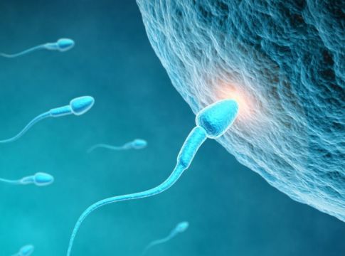 Κορωνοϊός: Δεν μεταδίδεται μέσω του σπέρματος