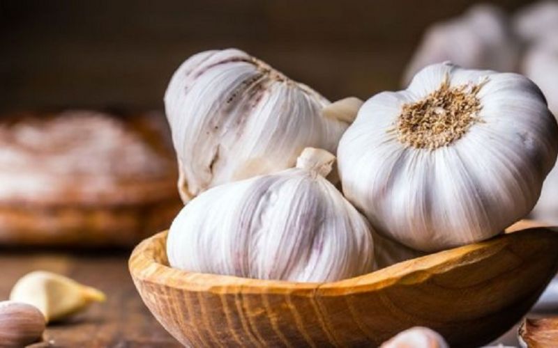 Το σκόρδο στο μικροσκόπιο: Ποια η σχέση του με την υγεία μας;