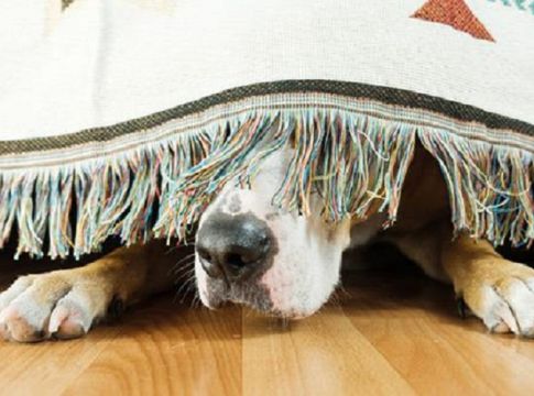 Γιατί το κάθε ζώδιο θα κρύψει τα συναισθήματά του;