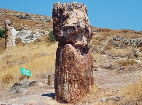 Άγνωστες ομορφιές της Ελλάδας – Μαγευτικές εικόνες από το απολιθωμένο δάσος στη Μυτιλήνη