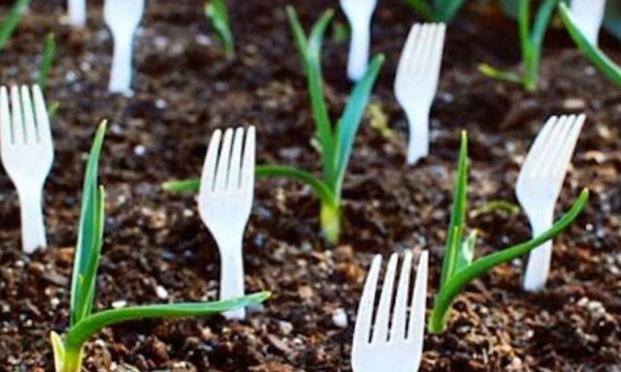 Γέμισε τον κήπο με πλαστικά πιρούνια – Δεν φαντάζεστε για ποιον λόγο (video)