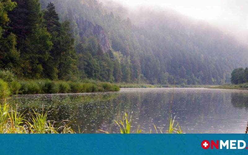 Βούτηξε σε λίμνη και αυτό που συνέβη θα το θυμάται για μια ζωή! (video)