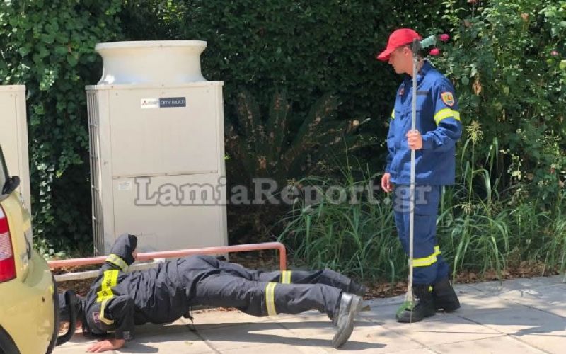 Φίδι προκάλεσε πανικό σε πολυκατοικία στη Λαμία