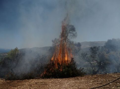 Φωτιά στον Άγιο Νικόλαο στην Κρήτη – Μεγάλη μάχη με τις φλόγες