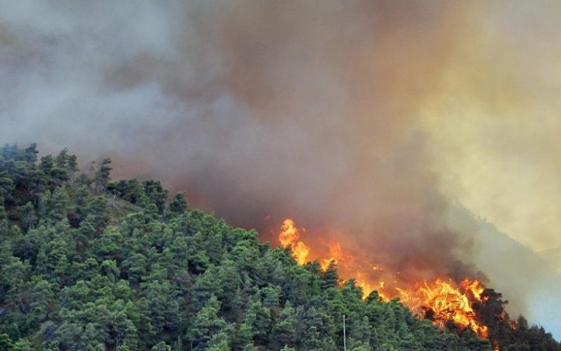 Πυρκαγιά σε αγροτοδασική έκταση στην Κάτω Αχαΐα
