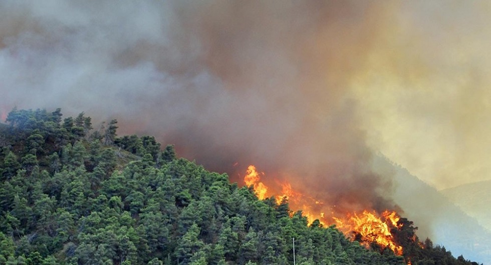 Πυρκαγιά σε αγροτοδασική έκταση στην Κάτω Αχαΐα