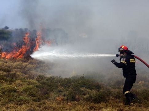Πύρινα μέτωπα σε Ηλεία και Κεφαλονιά : Μεγάλη κινητοποίηση της Πυροσβεστικής – Ενισχύονται οι δυνάμεις