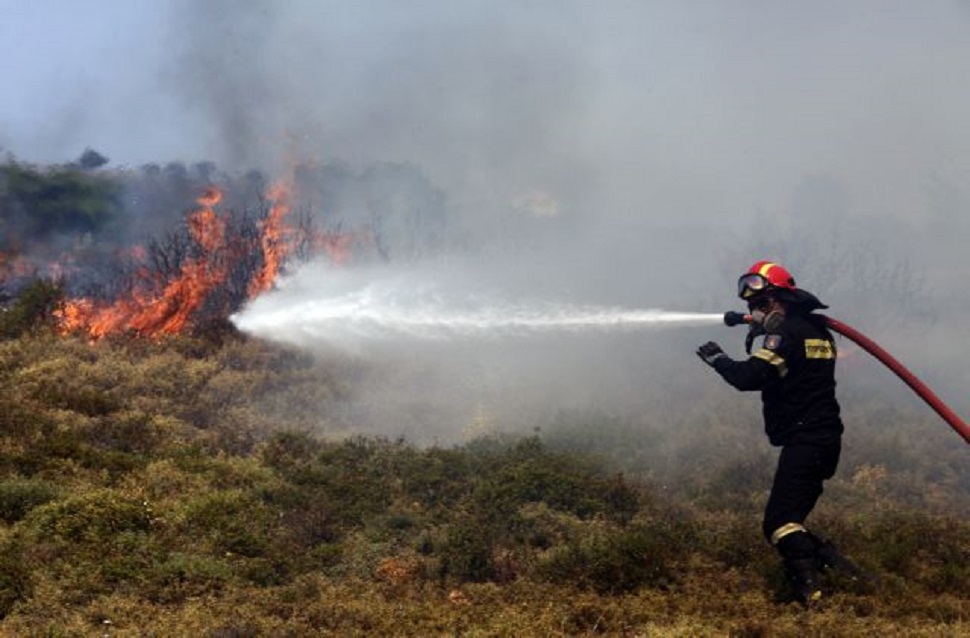 Πύρινα μέτωπα σε Ηλεία και Κεφαλονιά : Μεγάλη κινητοποίηση της Πυροσβεστικής – Ενισχύονται οι δυνάμεις