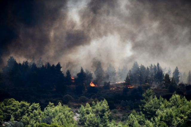 Κεχριές : Δεύτερο βράδυ μάχης με τις φλόγες – Καλύτερη εικόνα παρουσιάζει η πυρκαγιά