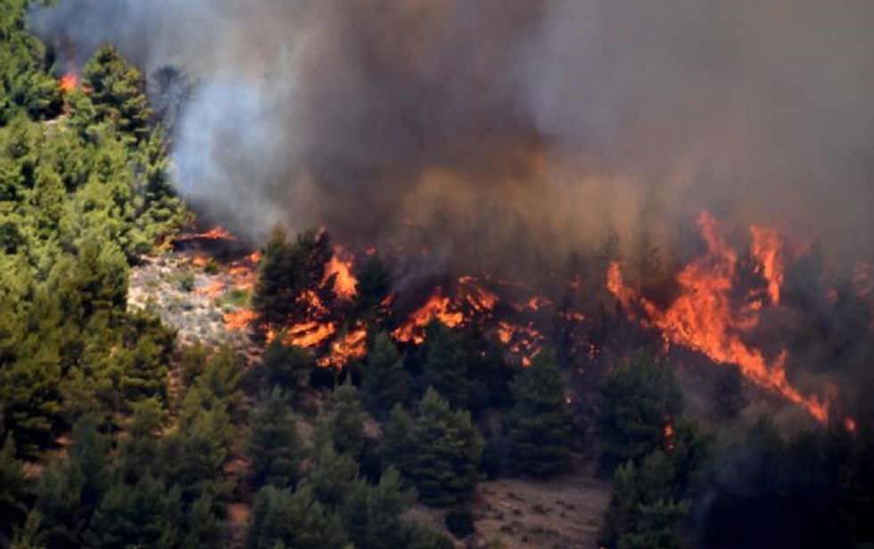 ΓΓΠΠ : Πολύ αυξημένος το Σάββατο ο κίνδυνος πυρκαγιάς