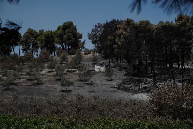 Φωτιά στις Κεχριές : Στάχτη πάνω από 32.000 στρέμματα