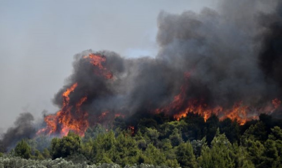Δραματική η κατάσταση στις Κεχριές : Εκκενώνεται και άλλος οικισμός – Ανεξέλεγκτη η φωτιά