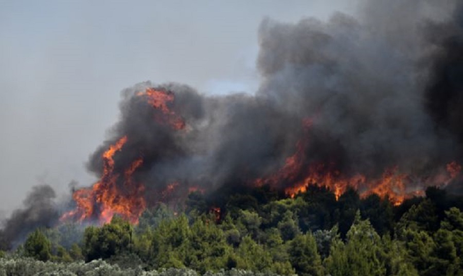 Κεχριές : Εκτός ελέγχου η φωτιά – Εκκενώνεται ένας οικισμός και μια κατασκήνωση