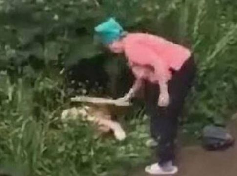 Ηλικιωμένη είδε ζευγάρι σε καυτές στιγμές σε θάμνο και τους πλάκωσε στο ξύλο (video)