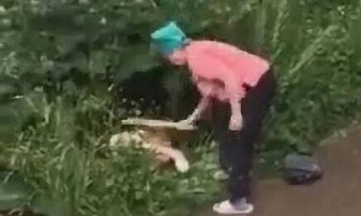 Дают В Кустах Порно