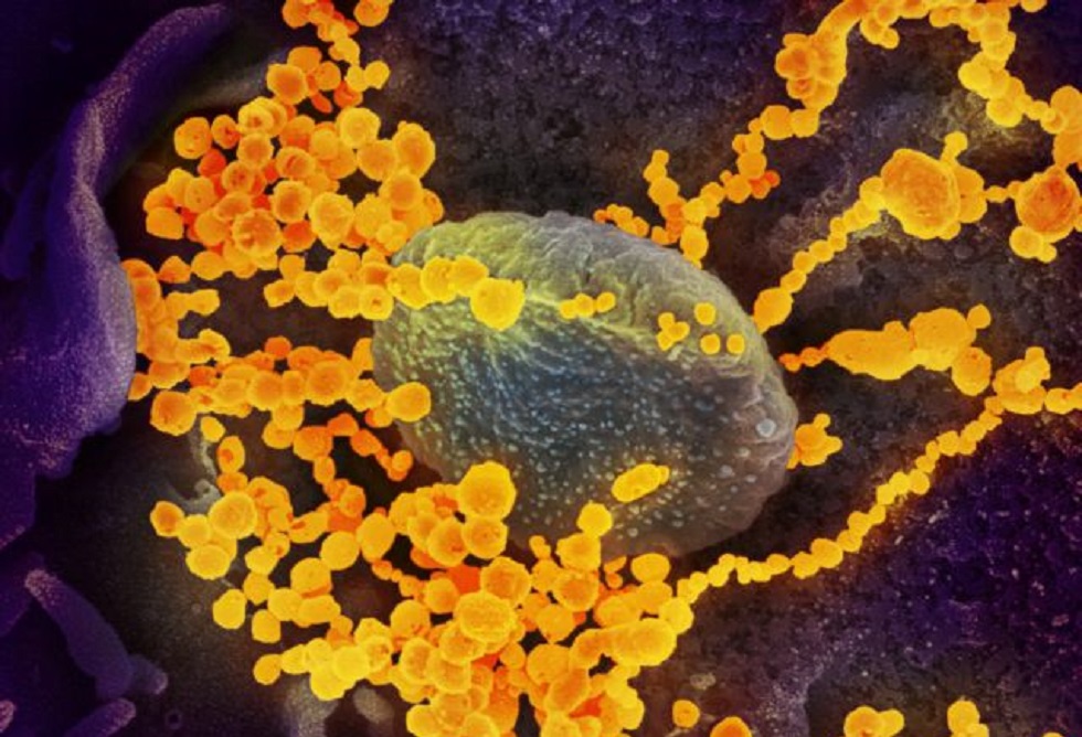 Κορωνοϊός : Ανακαλύφθηκαν 6 διαφορετικοί τύποι του ιού – Ποιοι είναι οι πιο επικίνδυνοι