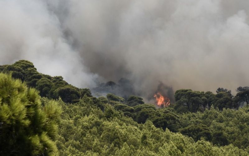Σαράντα επτά πυρκαγιές το τελευταίο 24ωρο σε όλη την Ελλάδα