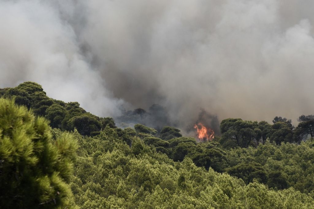 Σαράντα επτά πυρκαγιές το τελευταίο 24ωρο σε όλη την Ελλάδα